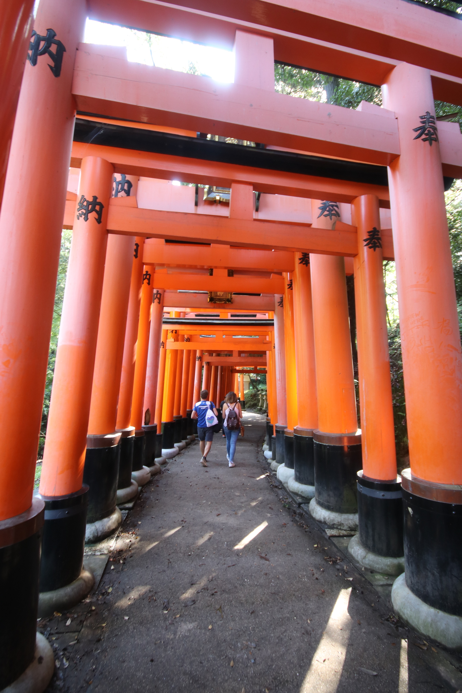 Fushimi Inari Shrine - My, Japan, Kyoto, Fushimi Inari, , Longpost