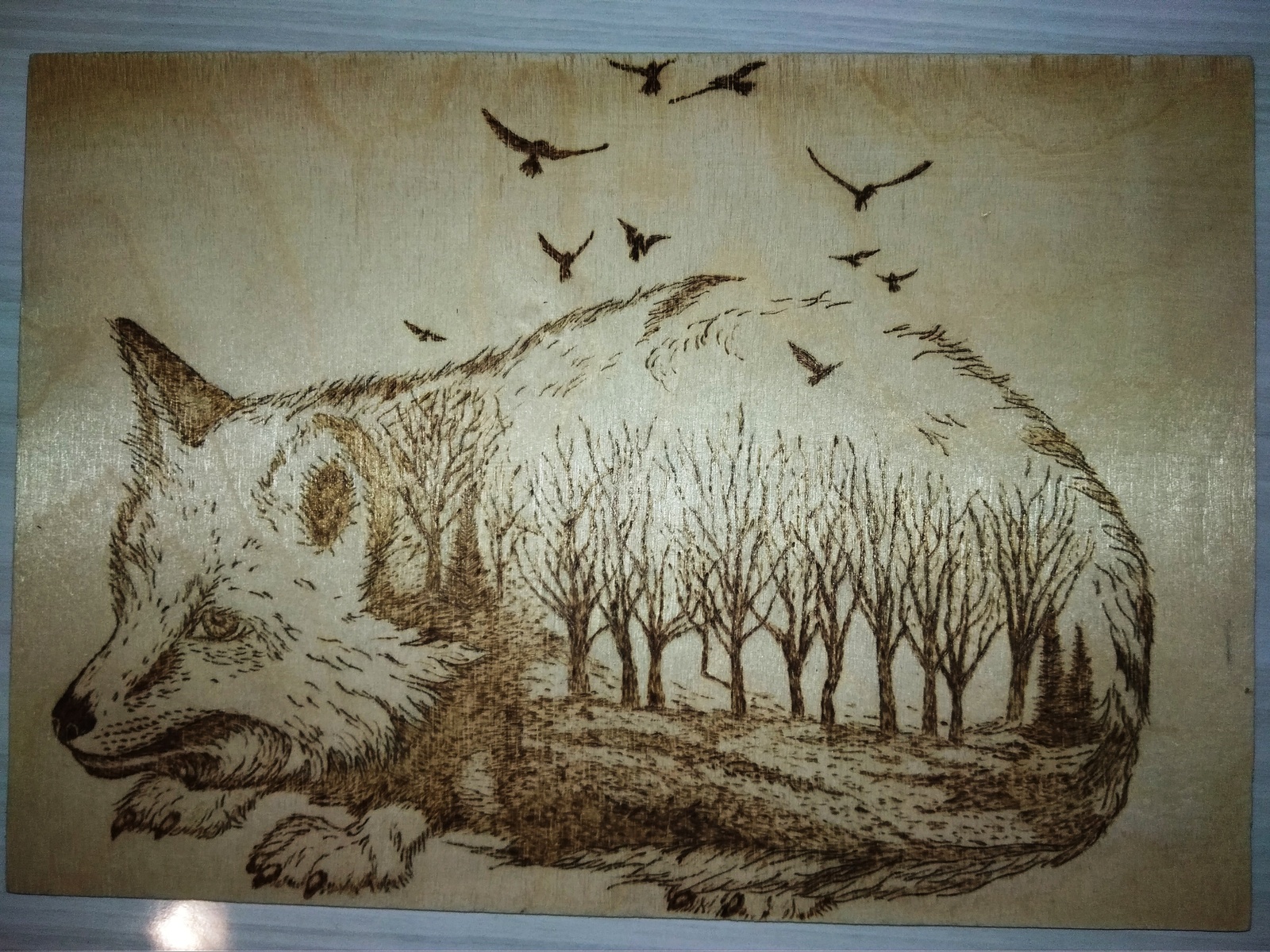 Chanterelle - My, Animals, Pyrography, Burning out, Needlework without process, Fox