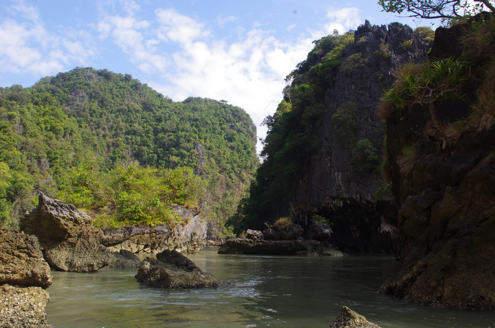 Journey through warm Thailand. Phuket - My, Travels, Thailand, Travelers, The photo, Interesting, Personal experience, Koh Phi Phi, Longpost