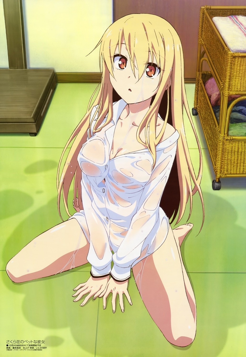 Mashiro Shiina - Anime, Anime art, , Sakurasou no Pet na Kanojo