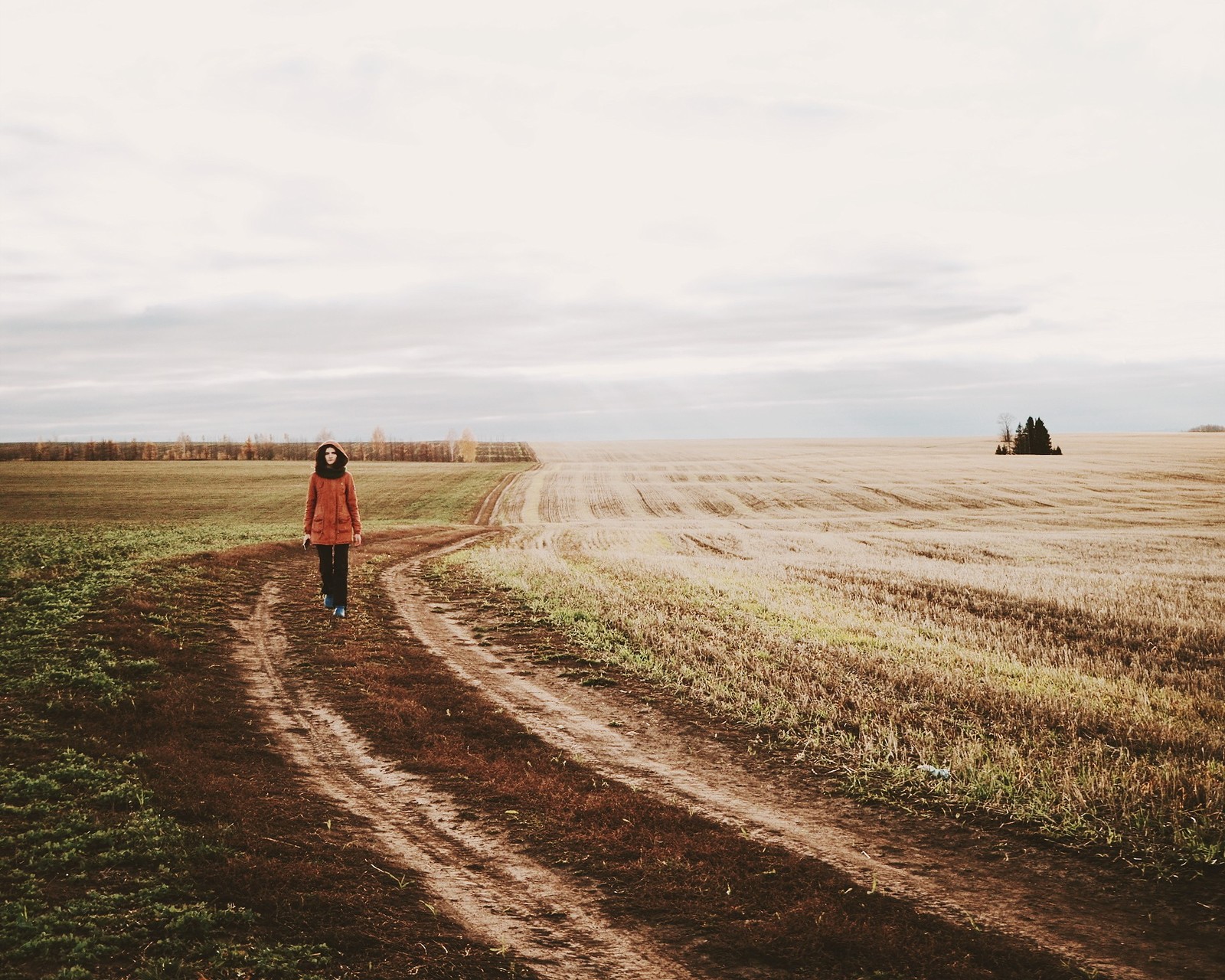 Autumn :) - My, The photo, Field, Landscape, Town, Beginning photographer, Nature, Longpost