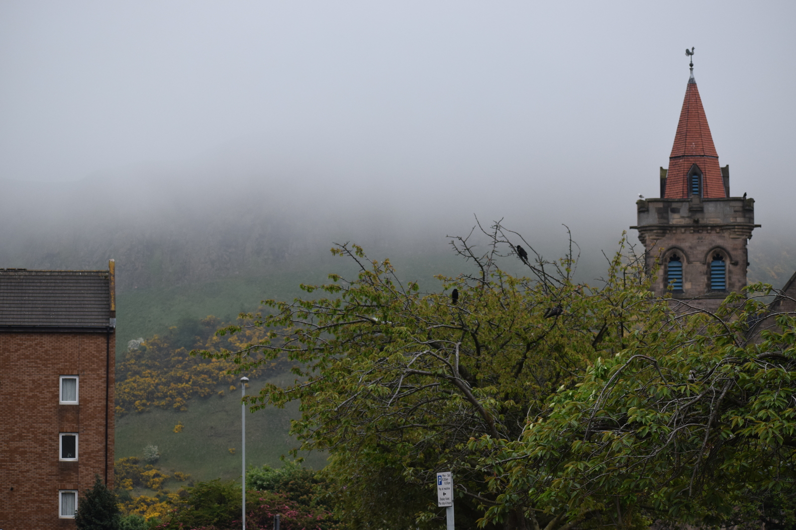 Handsome Edinburgh - My, Scotland, Edinburgh, Beginning photographer, Longpost