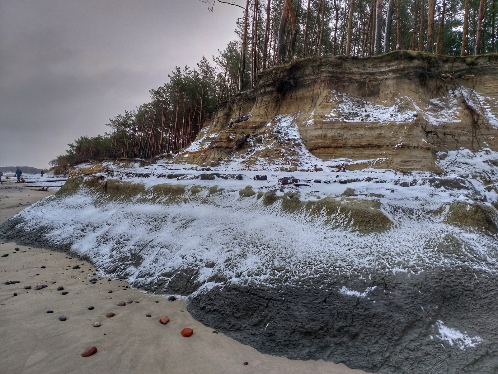 Winter Baltic - My, Sea, Pine, Baltic Sea, Kaliningrad region, Kaliningrad, The photo, Longpost