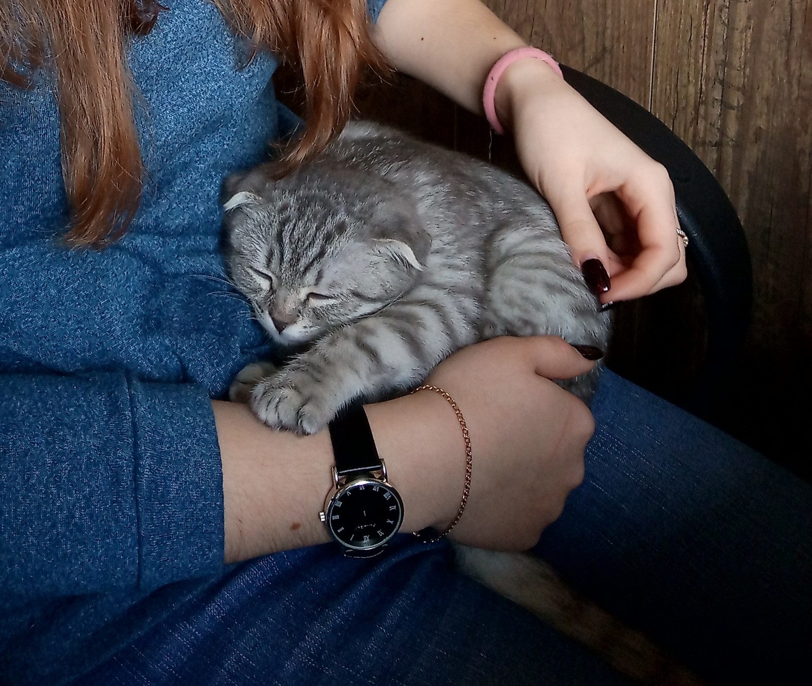 Alya after the vet - My, Scottish lop-eared, cat, Catomafia, Vet, Longpost