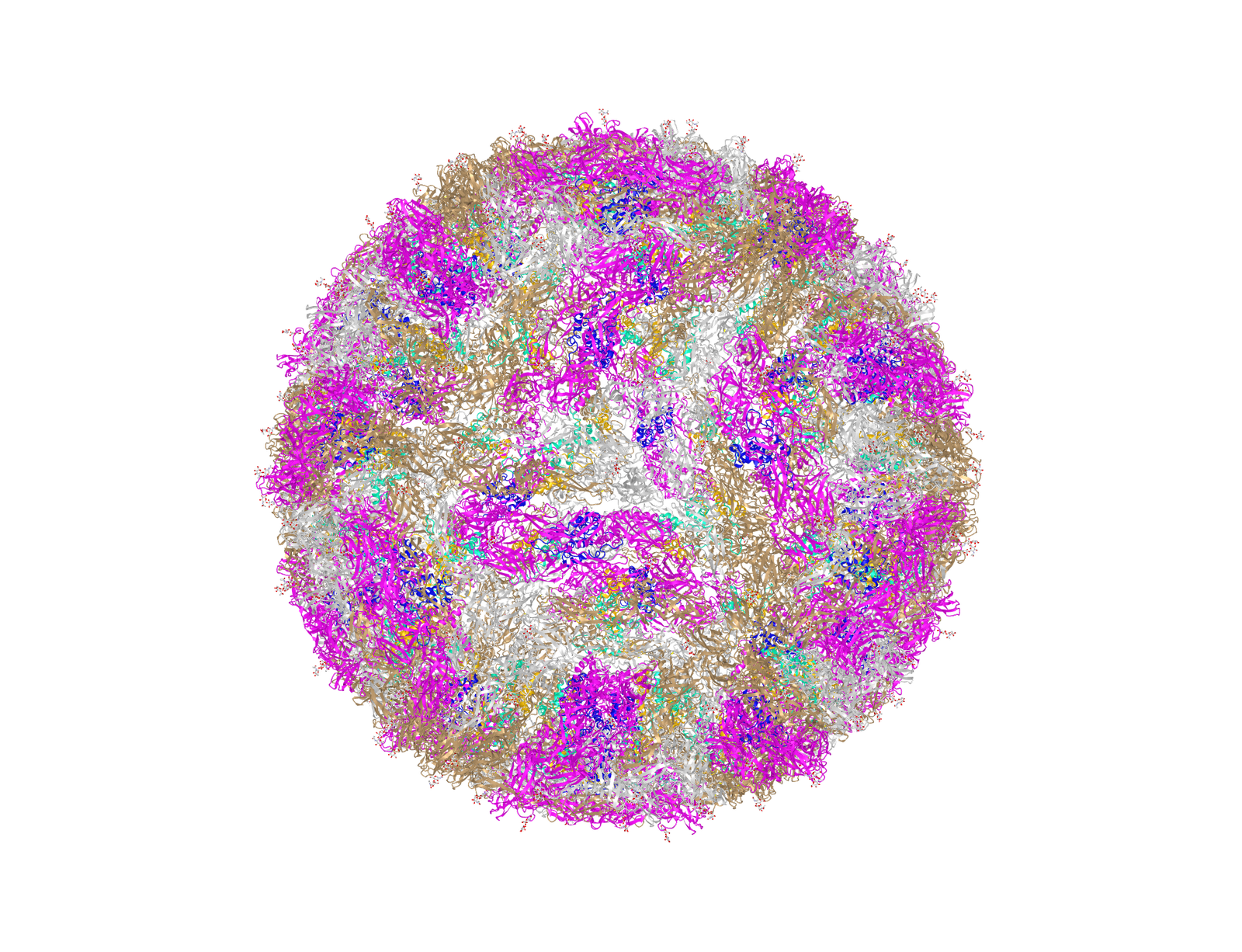 Tumor-killing virus - Akademgorodok, Virotherapy, Glioblastoma, Zika virus, Copy-paste, Longpost