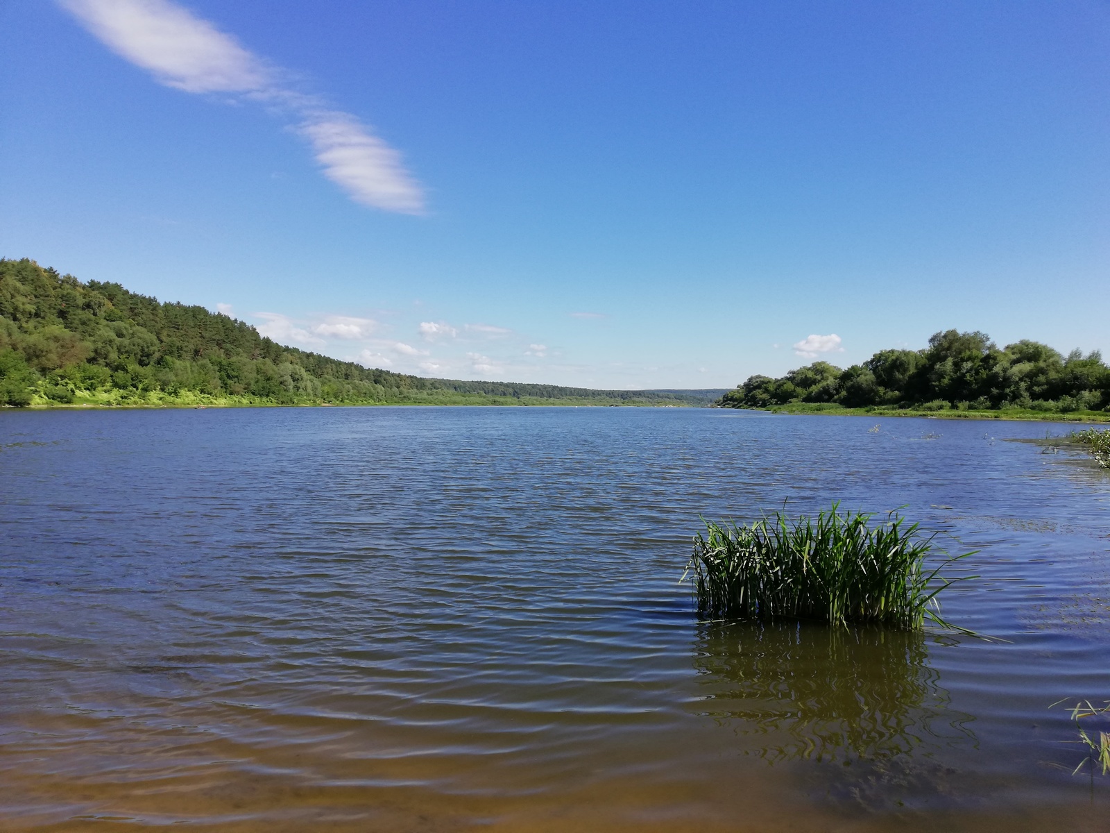 Summer - My, The photo, Nature, Fishing, Oka, River, Summer