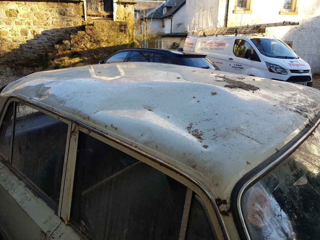 Fiat 124 put up for sale, which stood under the rubble of a destroyed garage for 41 years - Fiat 124, 1968, Find, Longpost