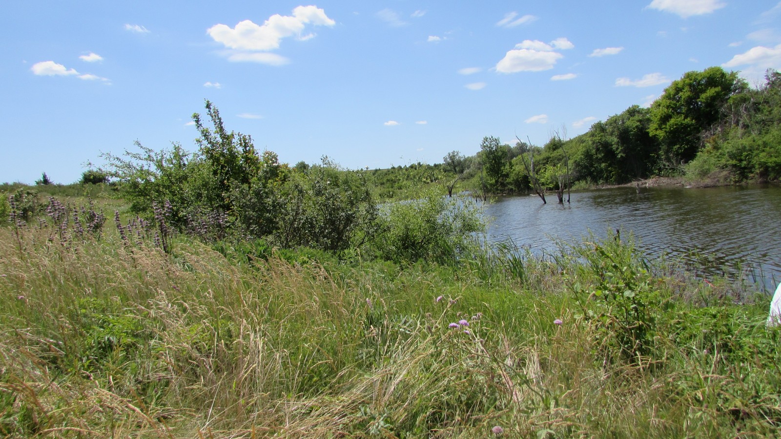 Khutor Tyukovnoy, Rostov region. - My, Backwoods, Liberty, Longpost, Provinces