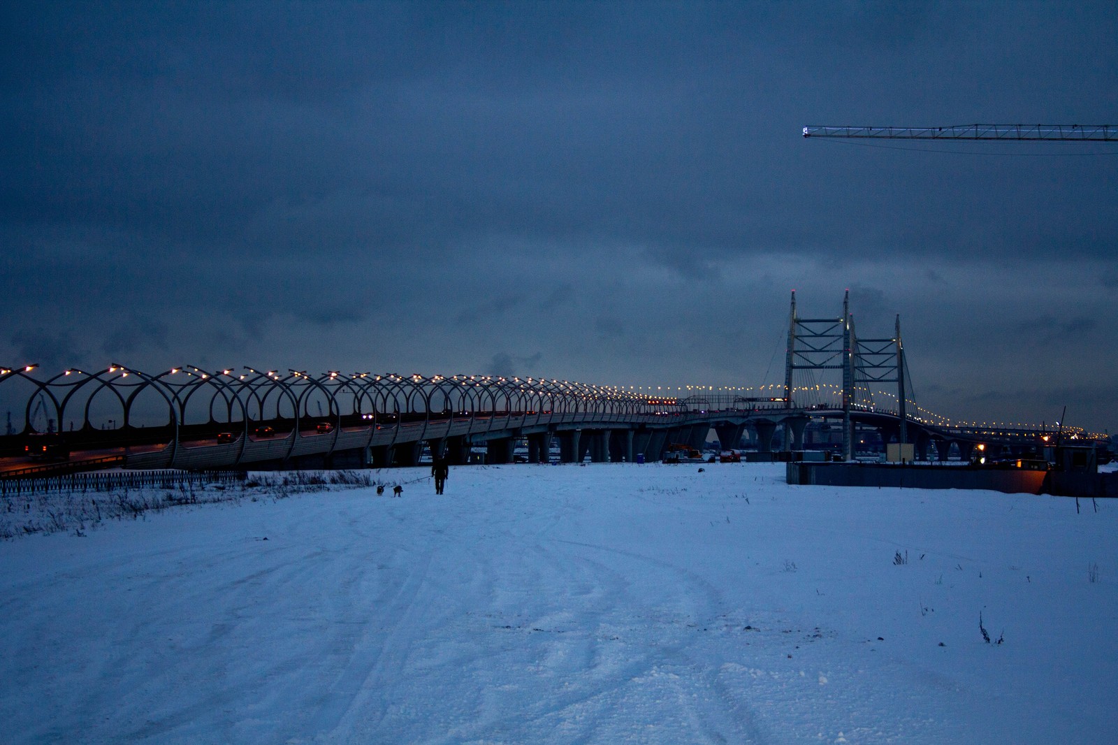 Zsd on the other side - My, The photo, Zsd, Bridge, Zenith Stadium, Longpost