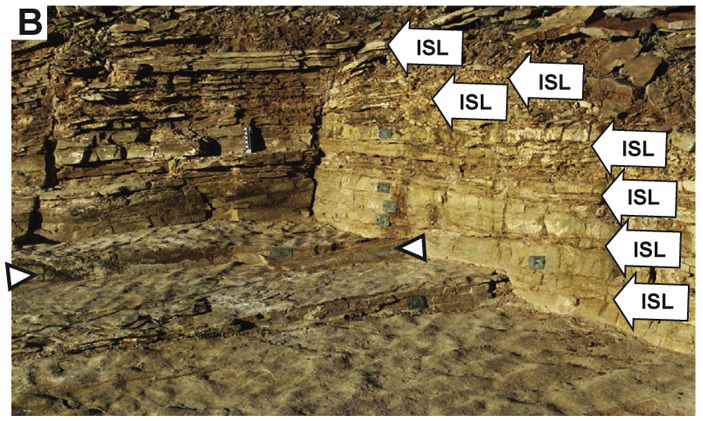 Sedimentary rocks with imprints of Precambrian metazoans could have formed on land - The science, Paleontology, Geology, , Ediacaran, Sorb, Copy-paste, Elementy ru, Longpost, Rocks