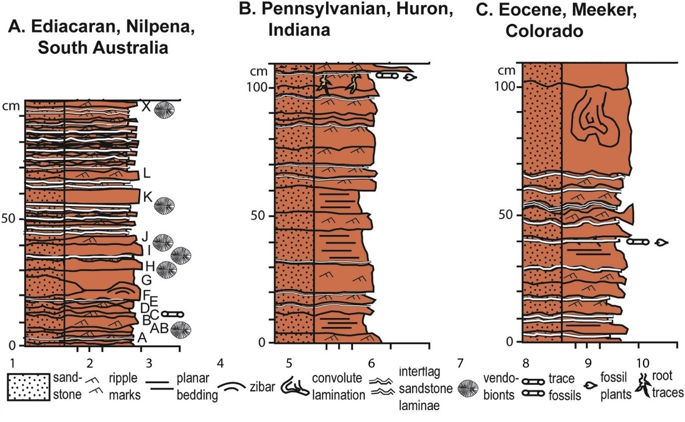 Sedimentary rocks with imprints of Precambrian metazoans could have formed on land - The science, Paleontology, Geology, , Ediacaran, Sorb, Copy-paste, Elementy ru, Longpost, Rocks