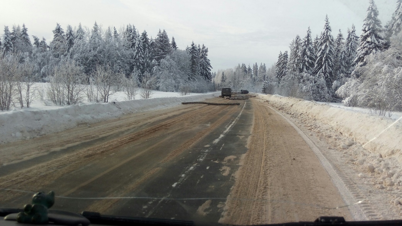 Timber truck in the Leningrad region scattered logs on the road - Timber carrier, Road accident, Log, , Longpost