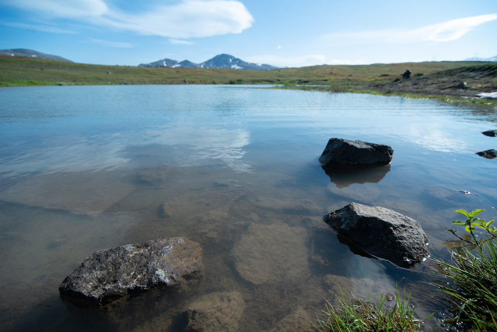 Kamchatka and its wonders - My, Kamchatka, The photo, The mountains, Dog, Alaskan Malamute, Longpost