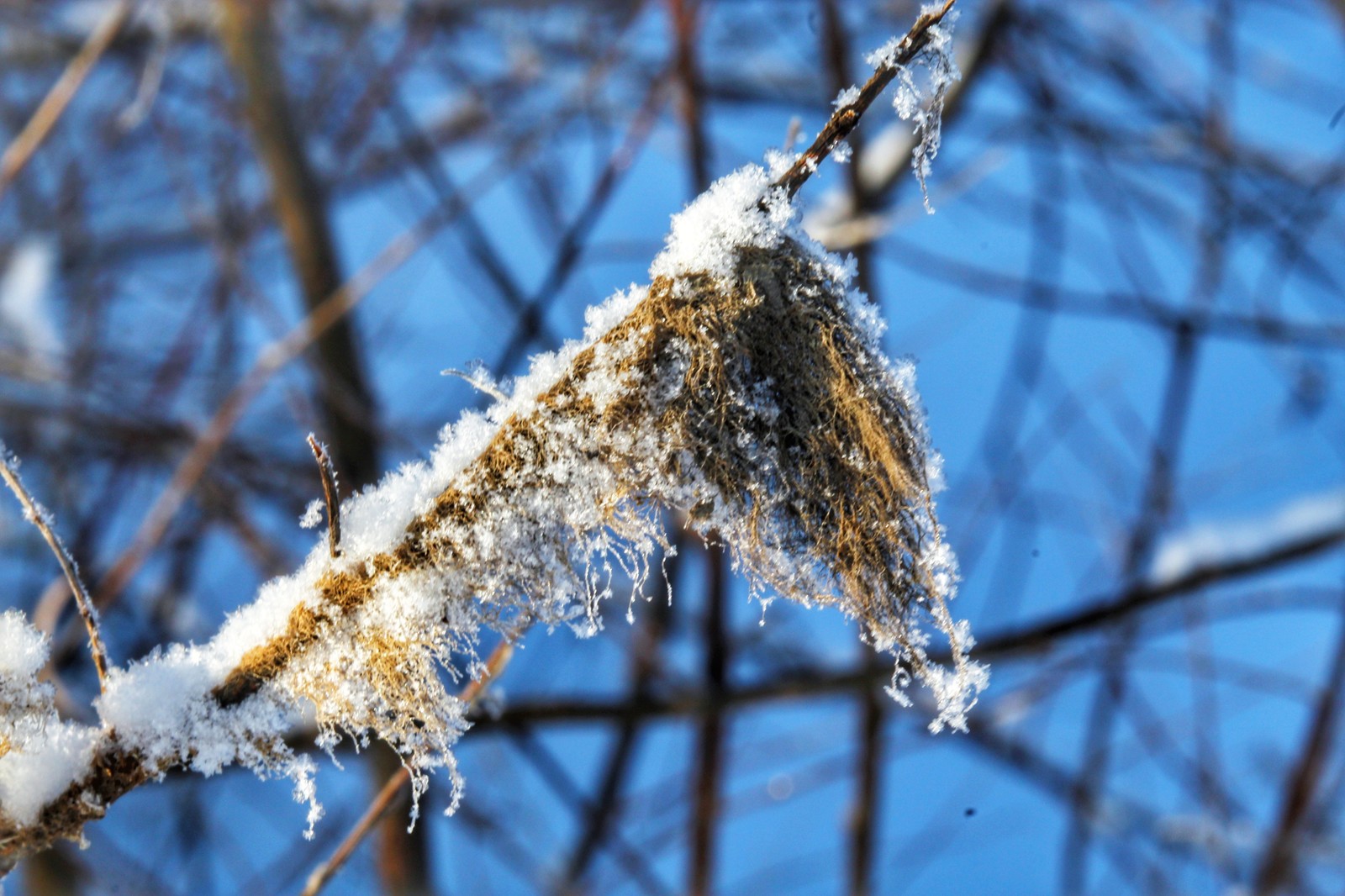 Winter sketch - My, Dzerzhinsk, The photo, Youtube, Canon 1300d, Canon, Huawei mate 9, Longpost, Video