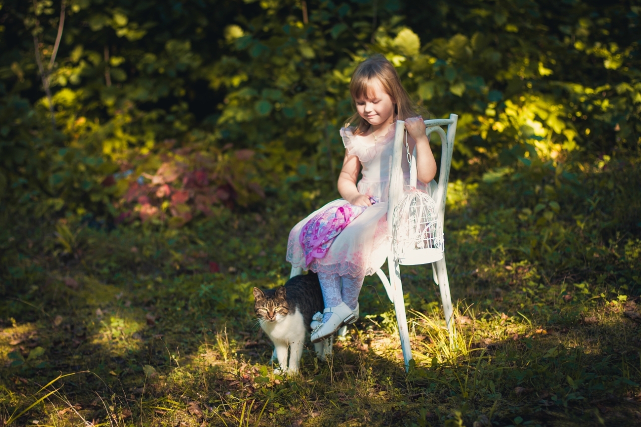 girls with cats - cat, Girl, Longpost