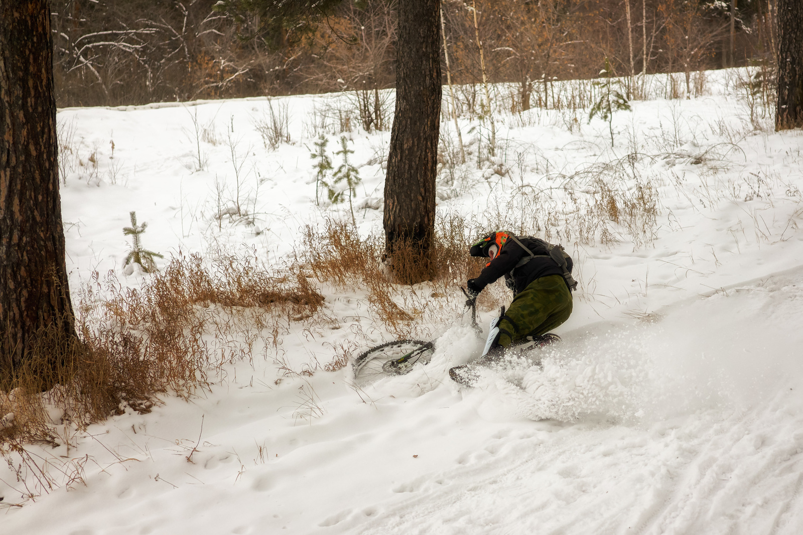 There is no nature, there is nothing to spread. Only here are my January rides) - Mtb, A bike, The fall, Freeride, 2019, Mountain bike, The photo, Sport, Longpost