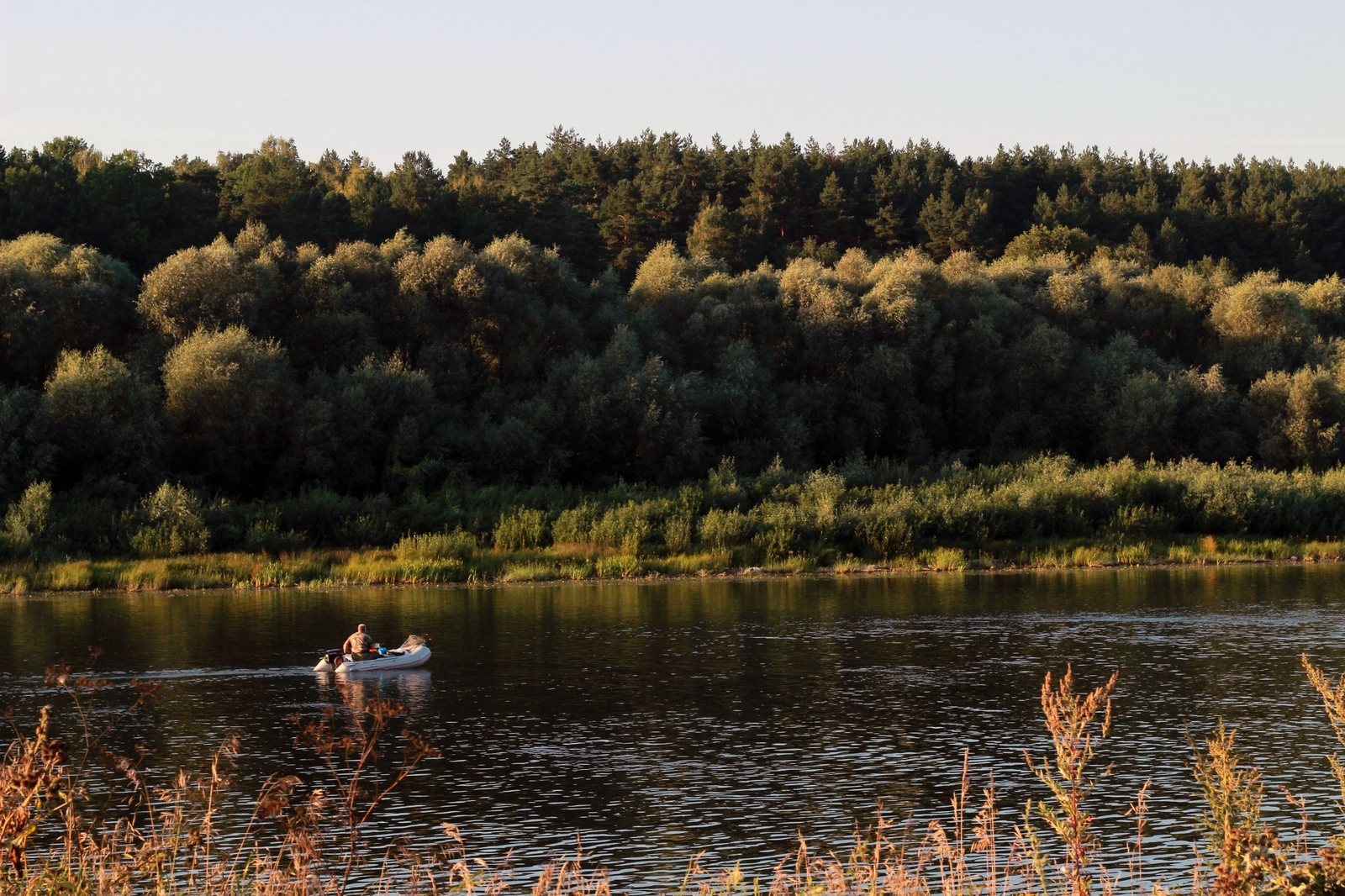 Evening fishing is great - My, Nature, The photo, Fishing, Oka, River, beauty, Summer, Longpost