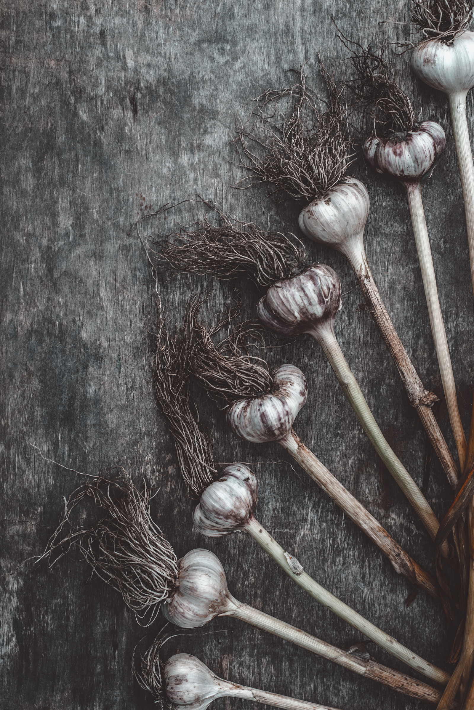 Food photo compilation - My, Foodphoto, Food, The photo, Flour, Avocado, Salad, Still life, Bread, Longpost