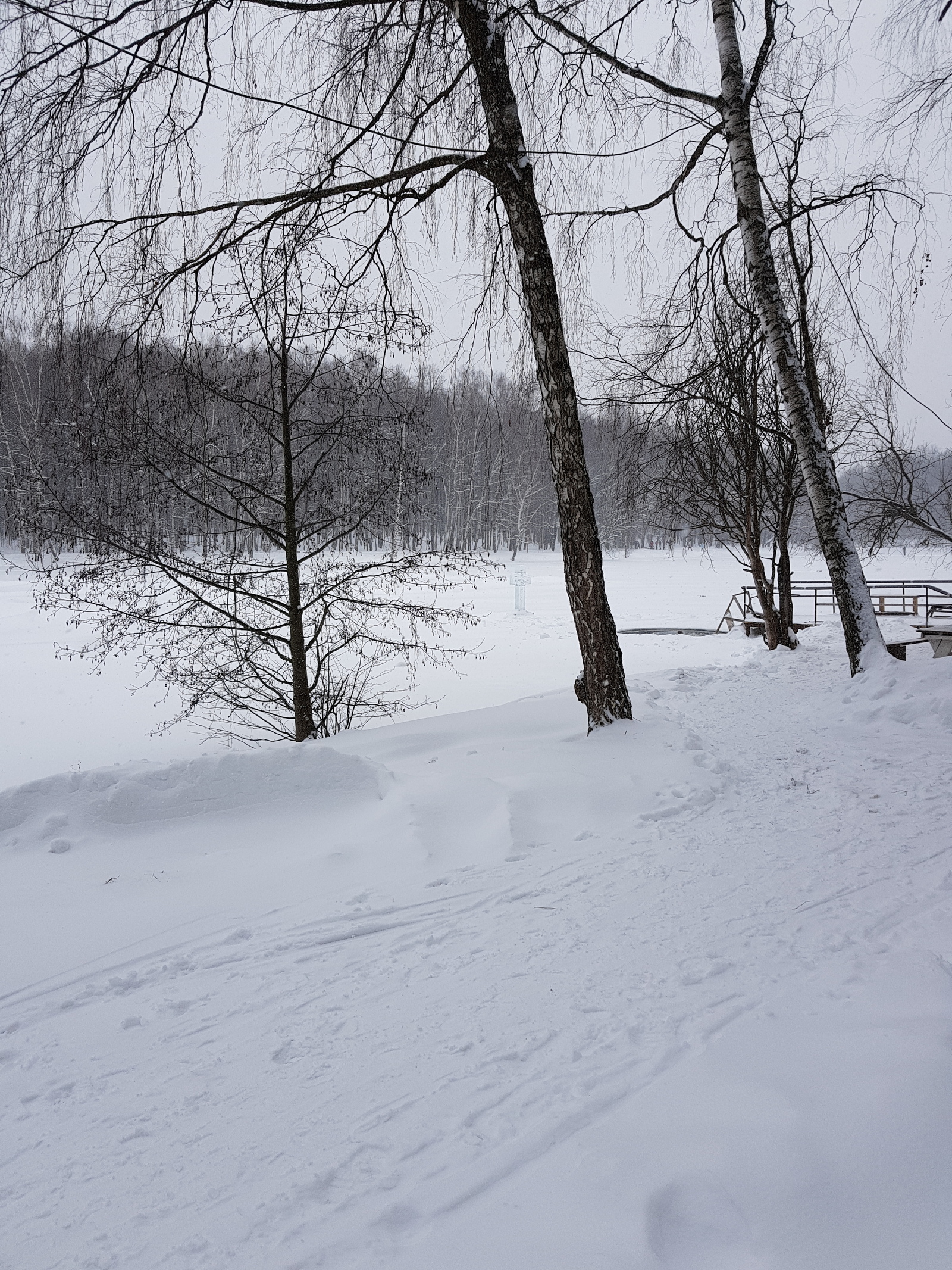 Walk under the snow - My, Mobile photography, Izmailovsky park, Moscow, Winter, Snowfall, Longpost