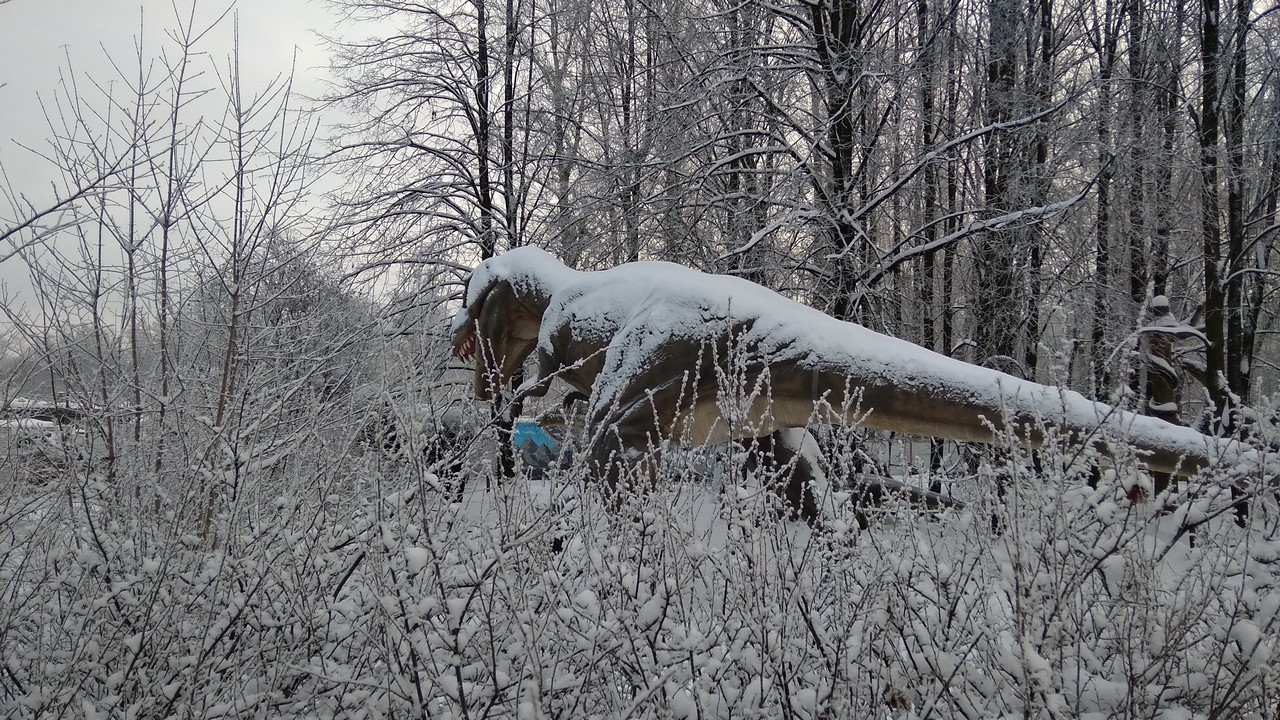 Frosty Cenozoic morning - My, The photo, Saint Petersburg, Dinosaurs, Cold, 