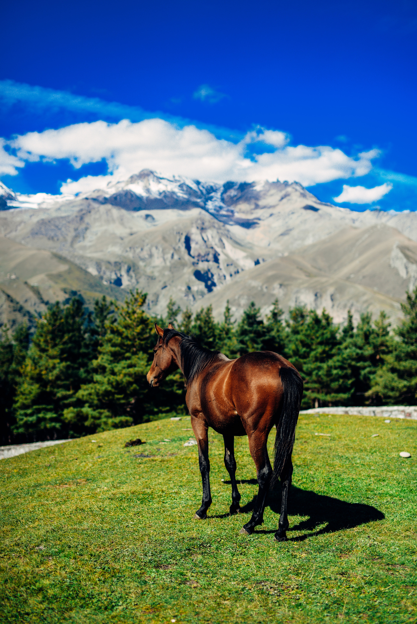 Kazbek - My, Kazbegi, Georgia, Nikon, The national geographic, Shoot, , Trip, Longpost, Travels