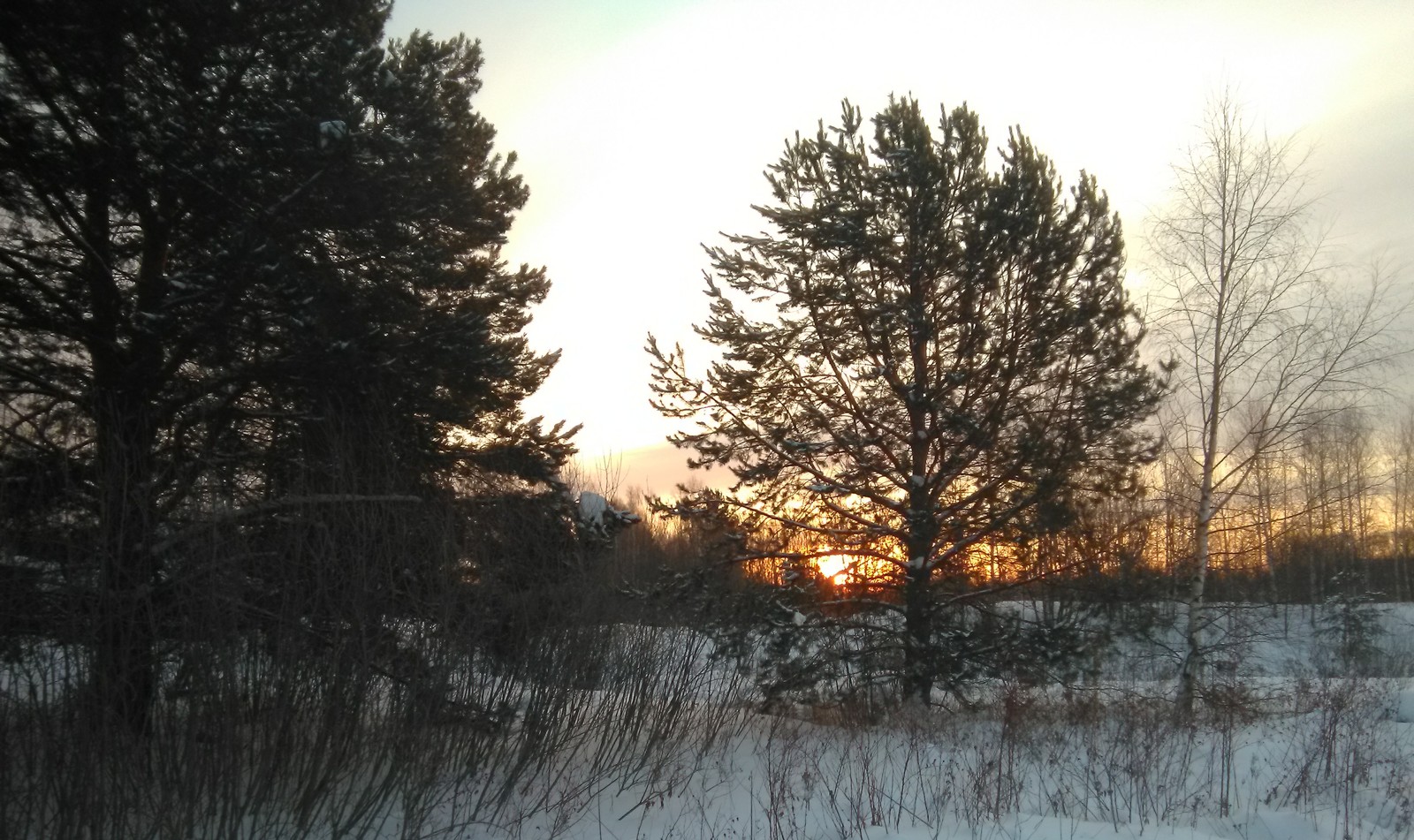 Winter sleep, three months before awakening - My, Winter, River, White boats, Longpost