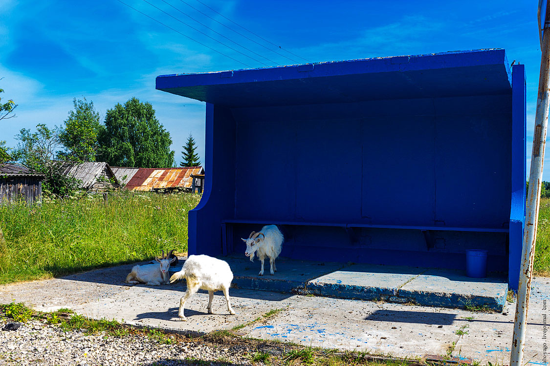 Bicycle tour in Northern Perm. - My, Bike trip, Travels, The photo, , , , Nyrob, Longpost