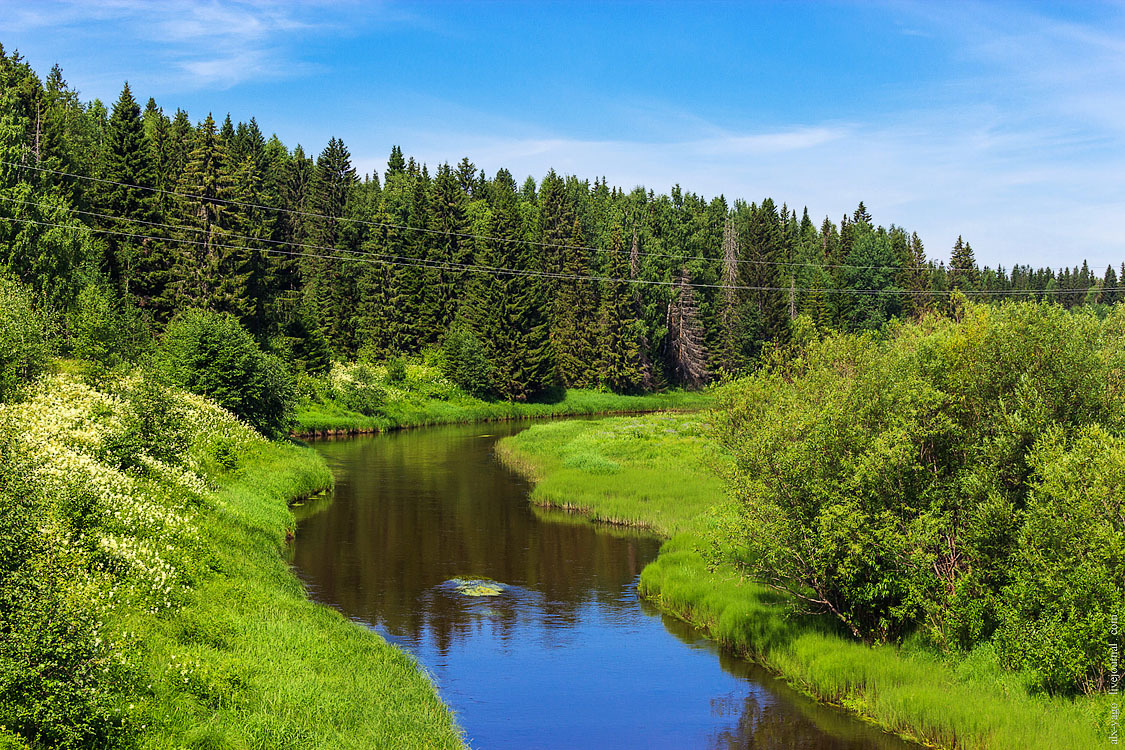 Bicycle tour in Northern Perm. - My, Bike trip, Travels, The photo, , , , Nyrob, Longpost