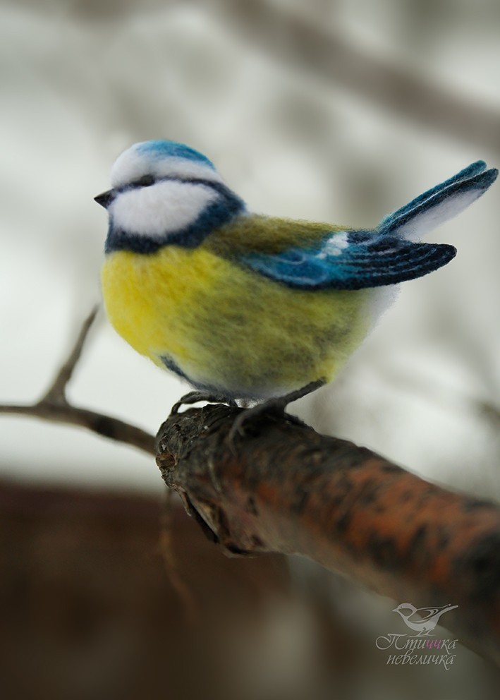 Titmouse LAZOREVKA. In technique, dry felting. - My, Dry felting, Creation, Needlework without process, Needlework, Handmade, Birds, Longpost