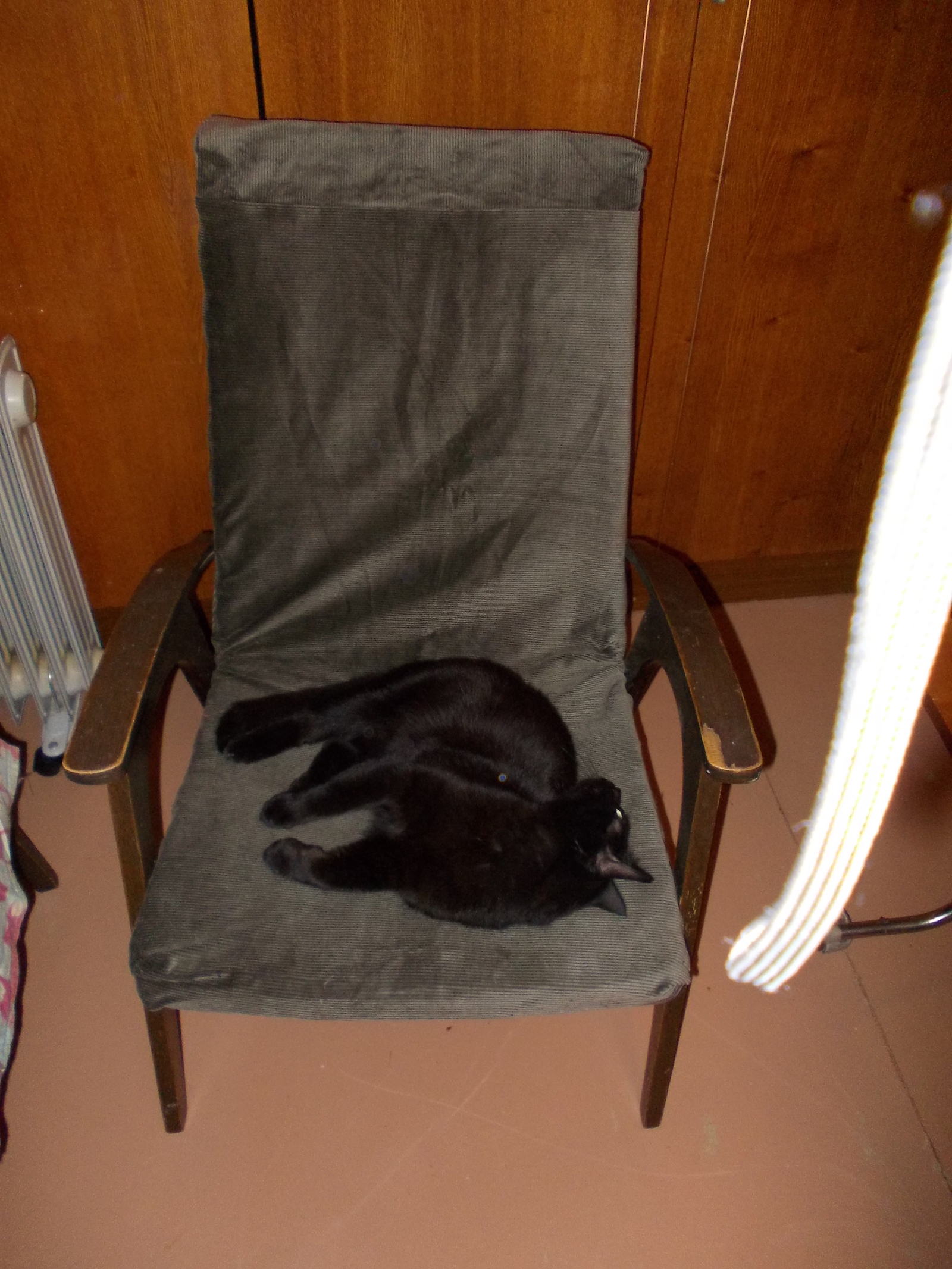 Chair restoration - My, Armchair, Needlework, Restoration, Longpost, cat