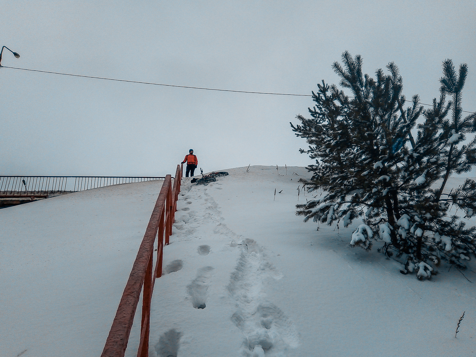 Skis? No, haven't heard - My, A bike, The photo, Bike ride, Moscow region, , Winter, Longpost