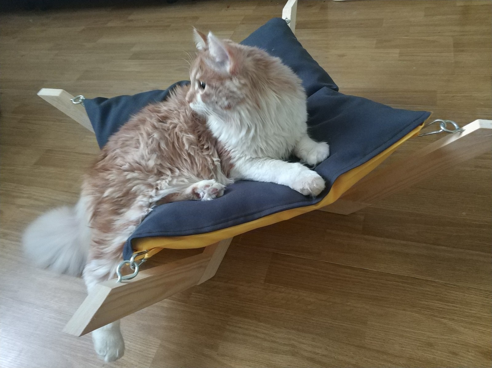 Hammock, like a big-eared one =] - My, Catomafia, cat, Lounger, Furniture, With your own hands, Video, Longpost