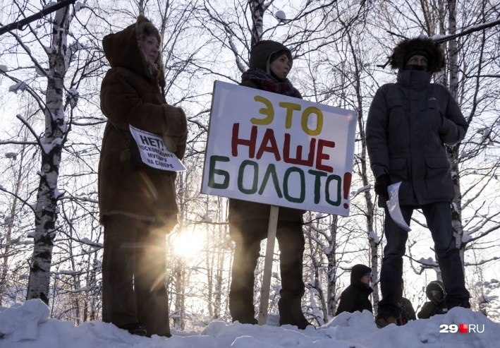 The hypocrisy of local government - My, Dump, Arkhangelsk, Shies, Rally, Hypocrisy, Longpost, Politics