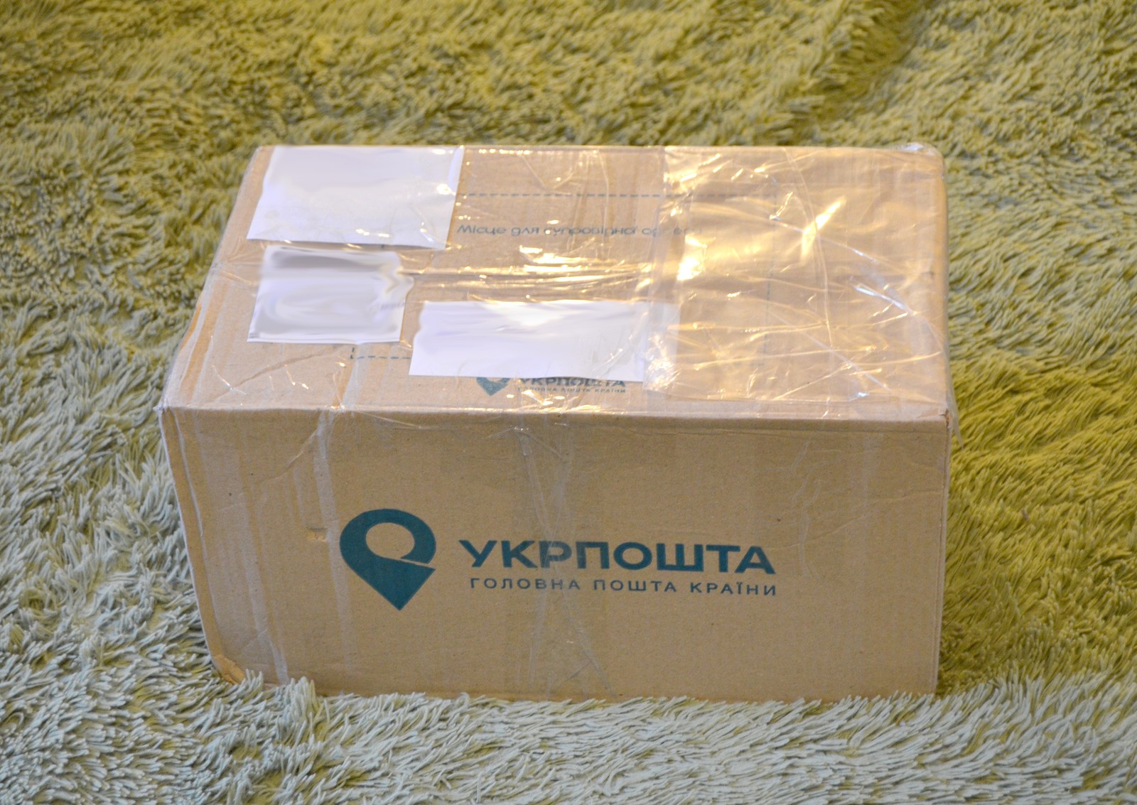 ADM (almost) Dnepr-Moscow - My, Secret Santa, Gift exchange, Gift exchange report, Package, Presents, cat, Longpost