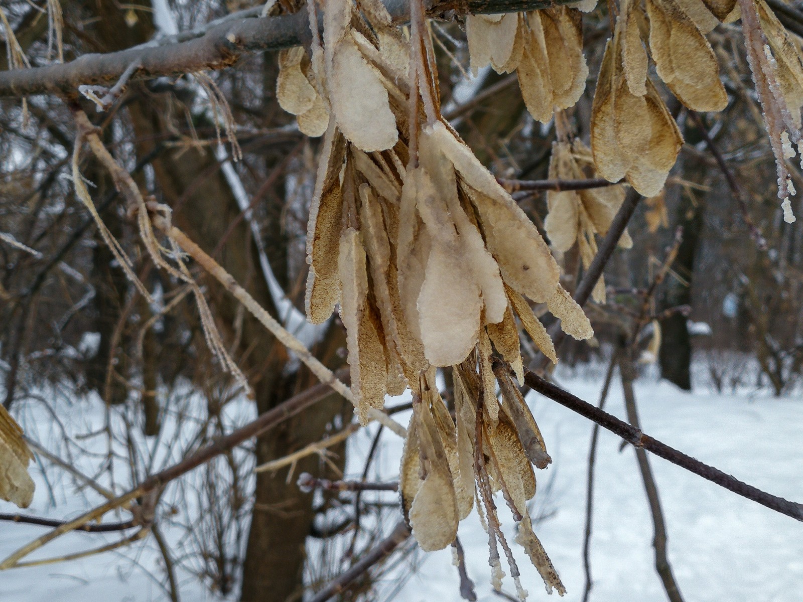 mobile walk - My, Dzerzhinsk, The photo, Huawei mate 9, Photobritish, Video, Youtube, Longpost