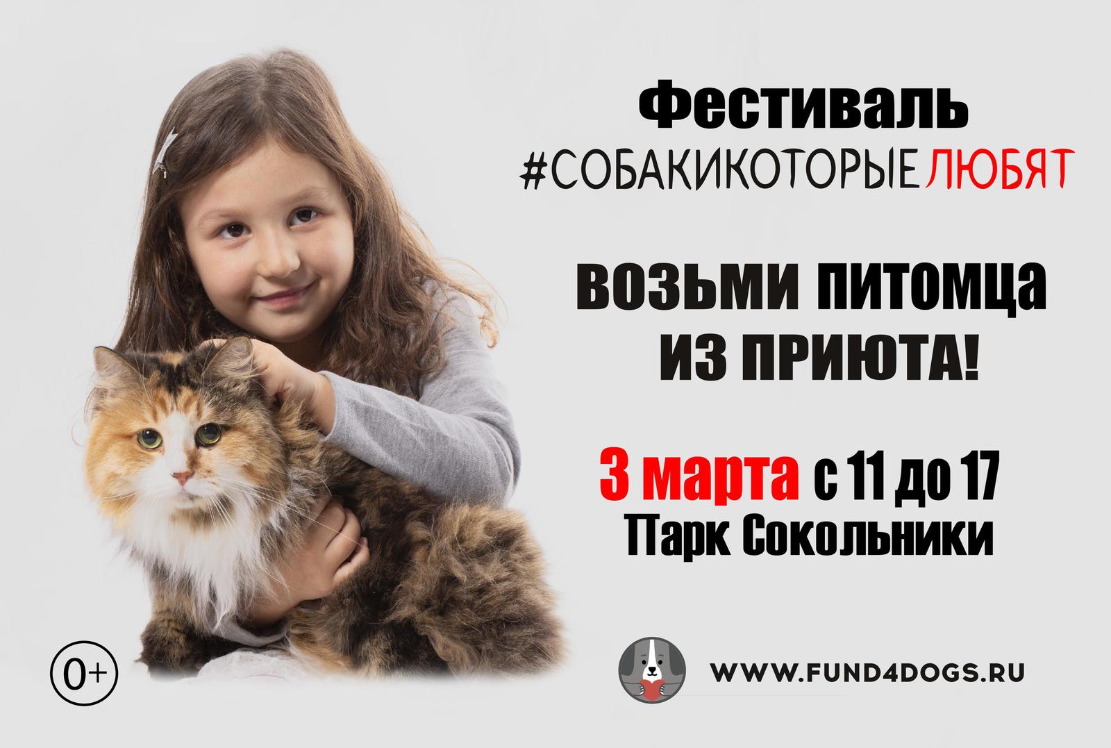 When a cat is at heart a little dog - Dogs and people, Tricolor cat, Pets, Pet, Poster, Advertising, Longpost, cat, Pet