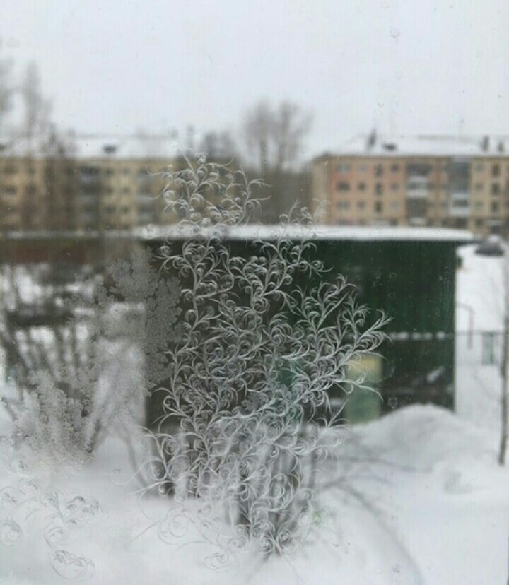 patterns on the windows - freezing, Window, Patterns, Longpost