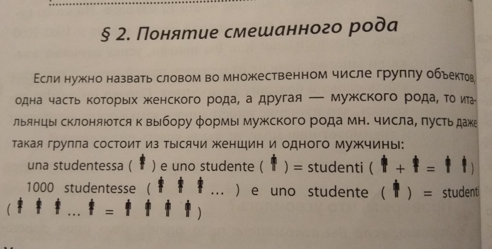 Феминистки и итальянский язык - Феминизм, Итальянский язык, Патриархат