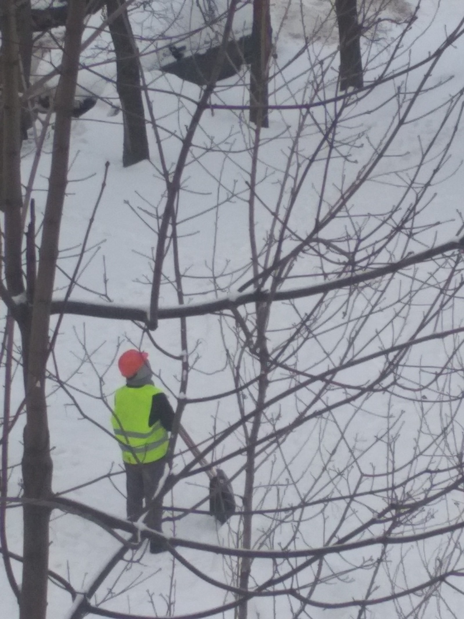 Safety in St. Petersburg. - My, Snow removal, Safety, Страховка, Longpost