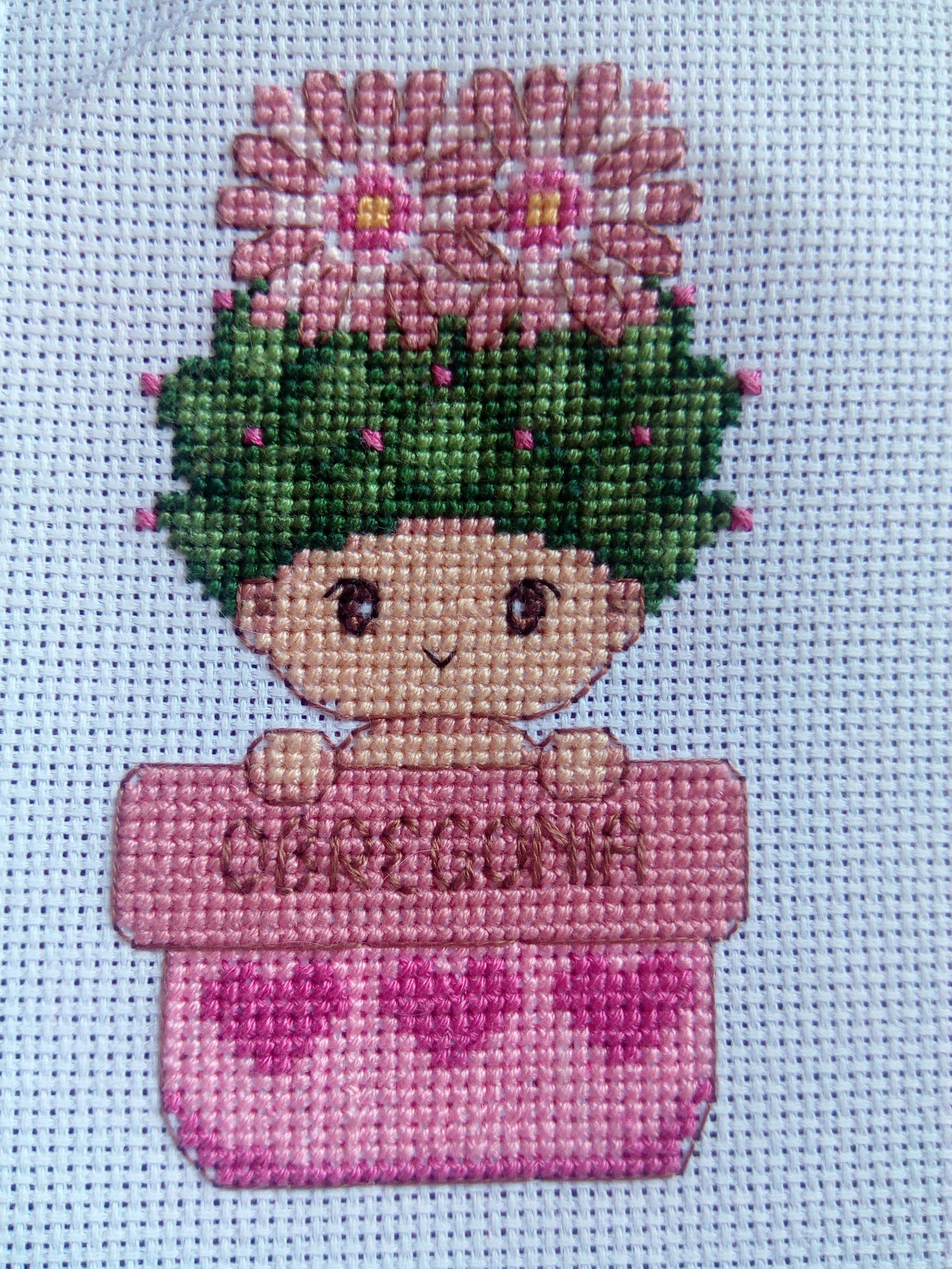 Baby cactus as a gift to grandmother)) - My, Cross-stitch, Cactus, With your own hands, A gift to my grandmother, Presents