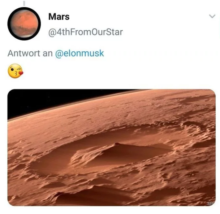 Elon Musk burns - Elon Musk, Twitter, Longpost, Correspondence, Screenshot, Mars