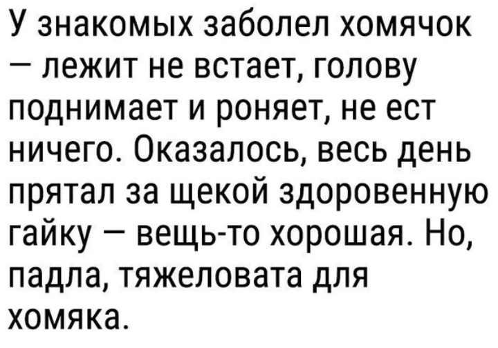 Как- то так 319... - Исследователи форумов, Подборка, Скриншот, Обо всем, Как-То так, Staruxa111, ВКонтакте, Длиннопост