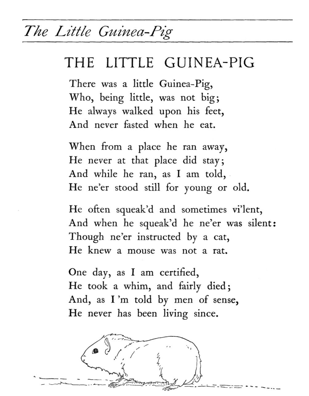Маленькая морская свинка. Англия, народный фольклор (авторский перевод). |  Пикабу