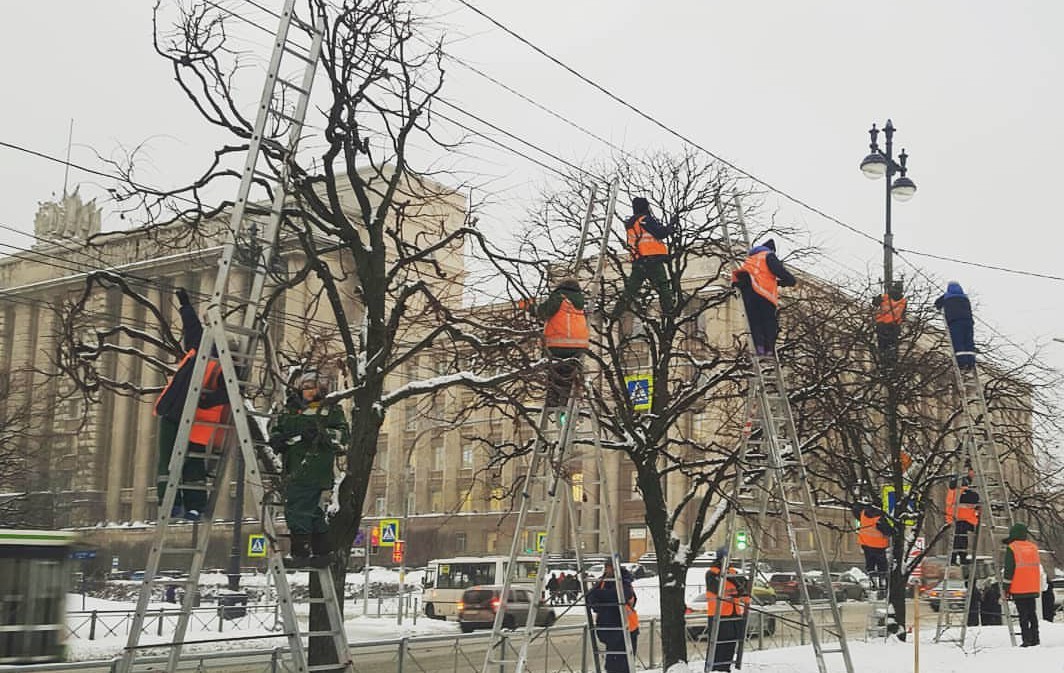 Bullfinches have arrived - Spring, The street