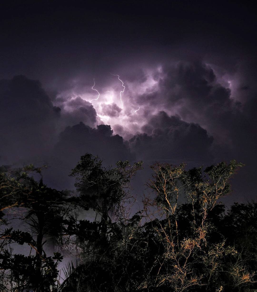 Thunderstorm - The photo, Beautiful view, Nature, Thunderstorm, Lightning, Night, Forest, 