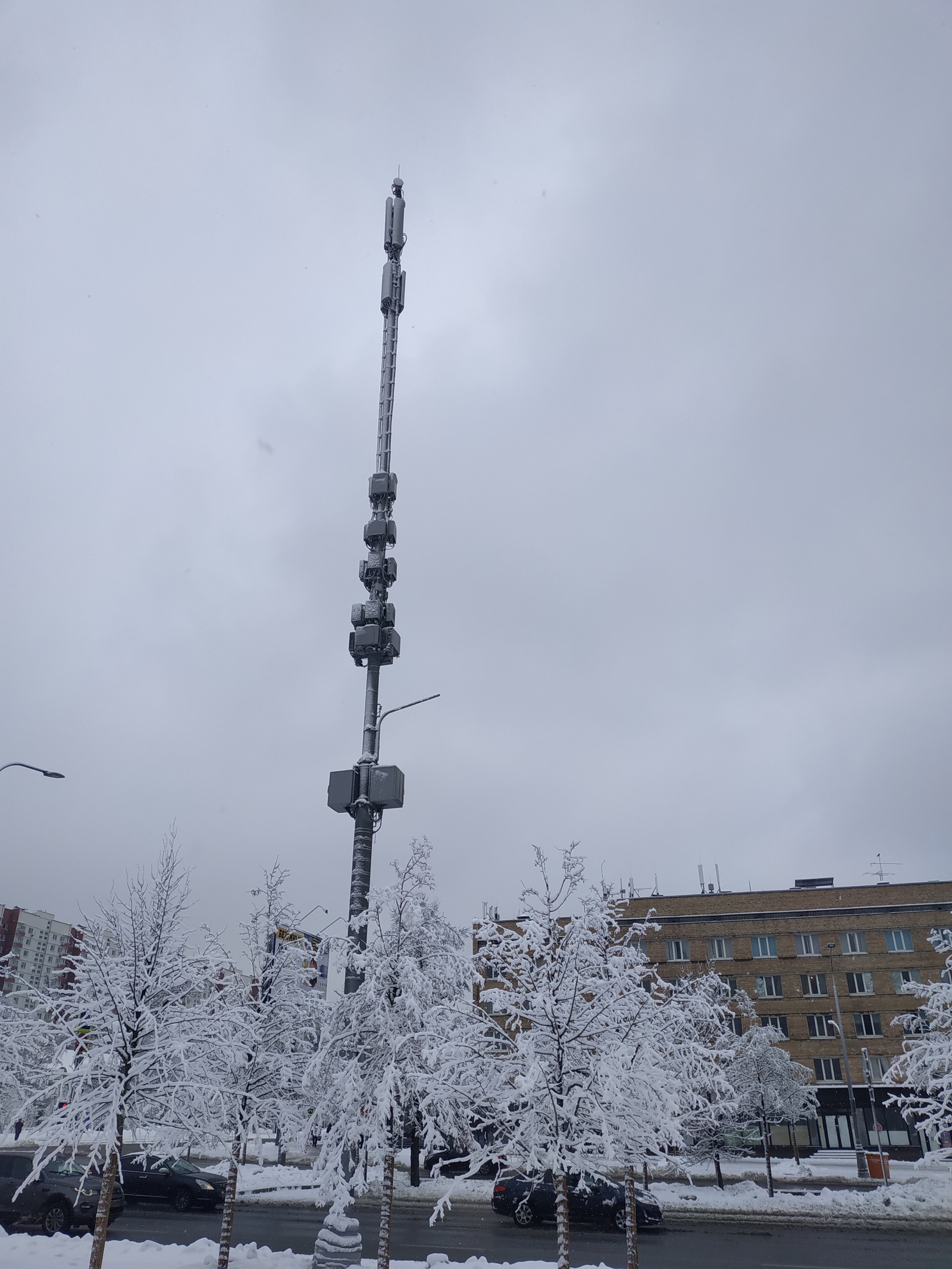 Что это? Высокие столбы установили по всему городу. Для чего? Меня терзают  смутные сомнения. | Пикабу