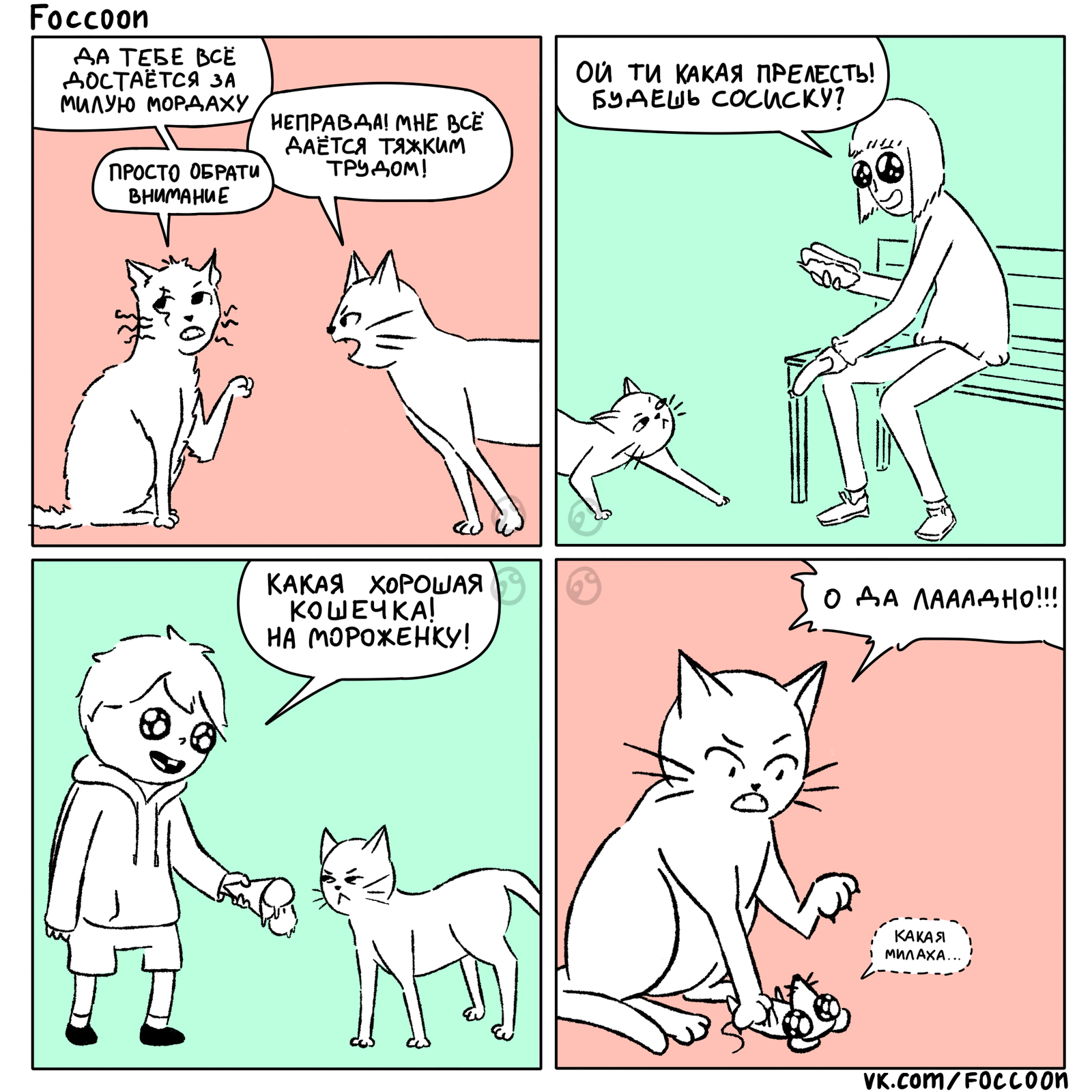 Mordakha - cat, Animals, Comics, Foccoon, My