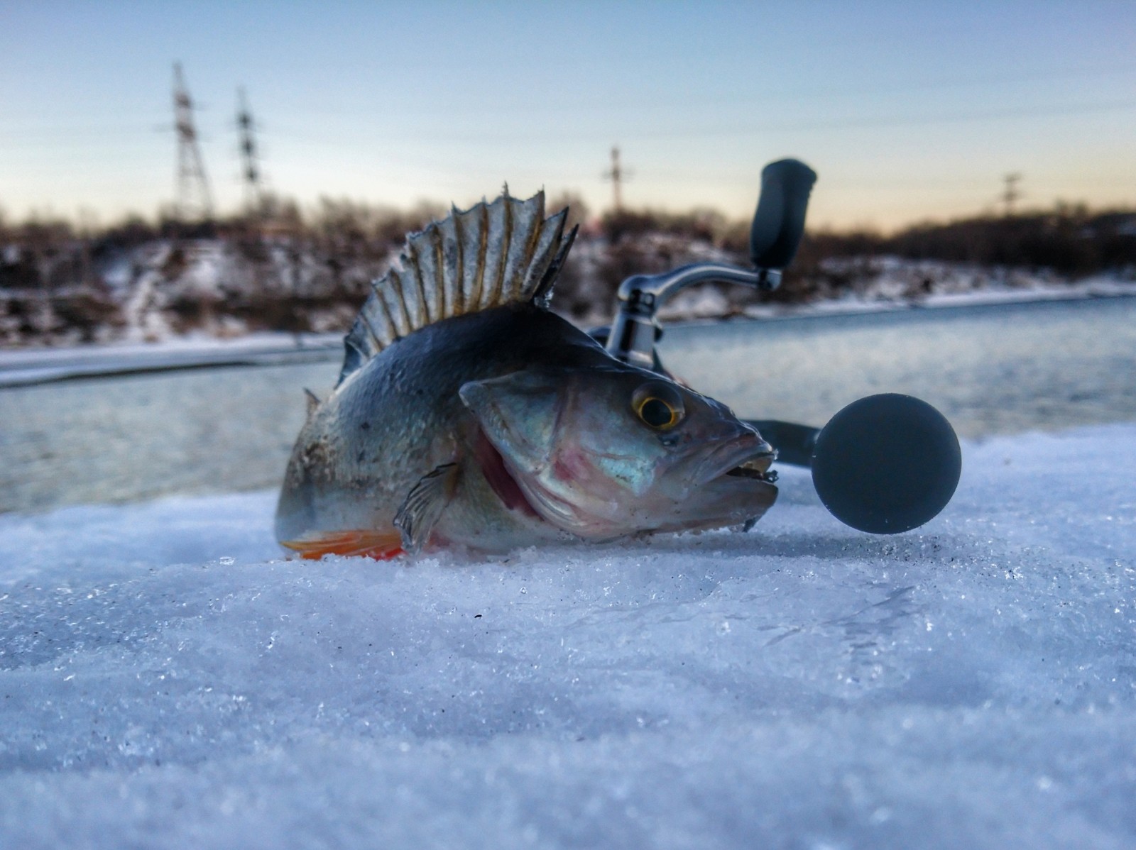 Lower Moscow - Moscow, Fishing, Winter, Longpost