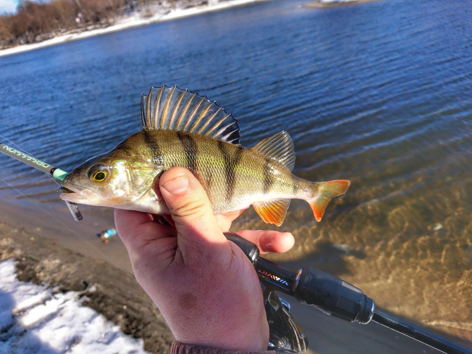 Lower Moscow - Moscow, Fishing, Winter, Longpost