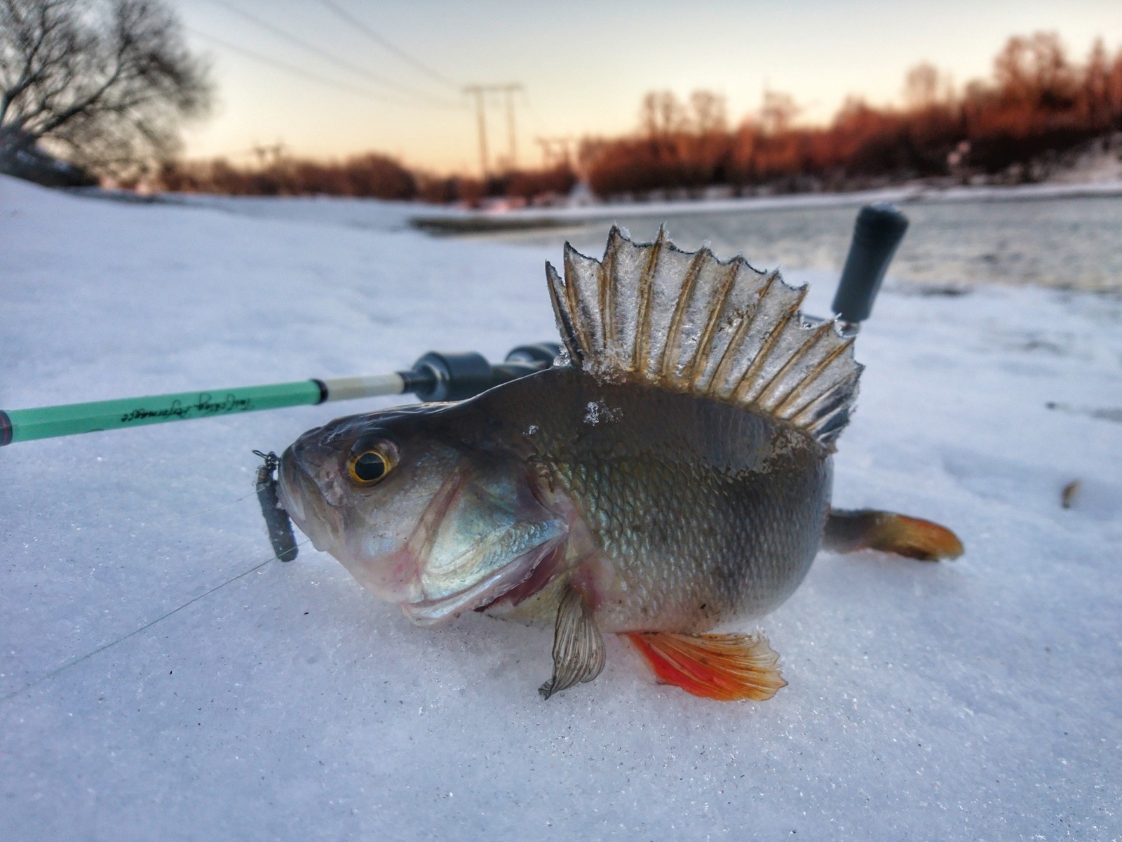 Lower Moscow - Moscow, Fishing, Winter, Longpost